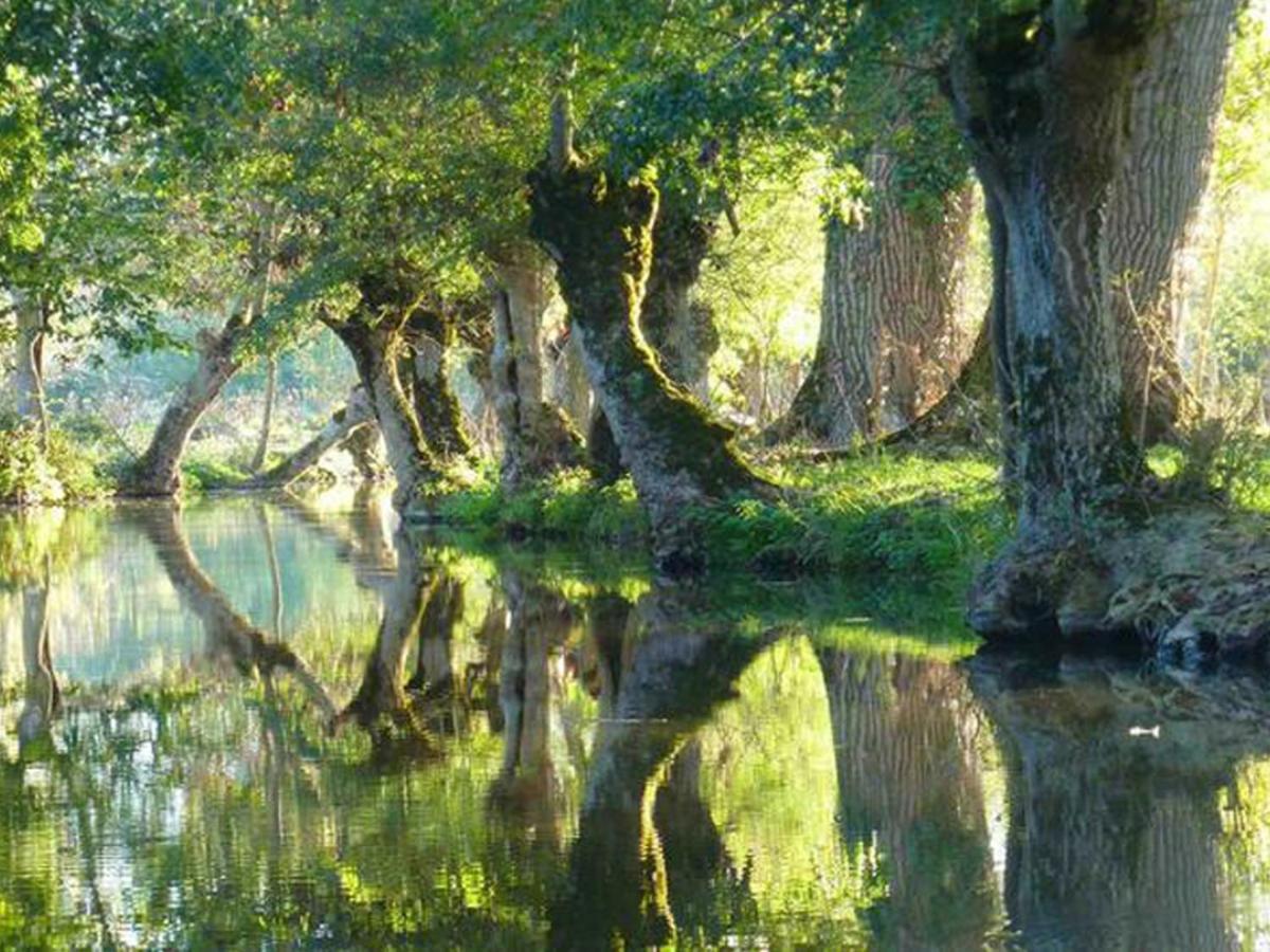 La Laujere Ivie - Gite & Piscine Privative Saint-Hilaire-du-Bois  المظهر الخارجي الصورة